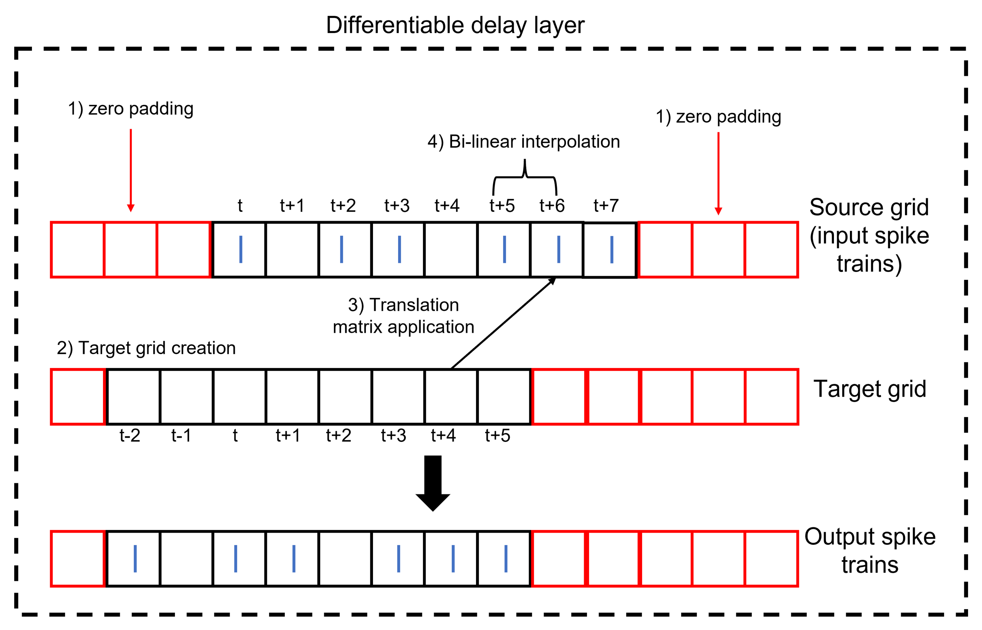 Structure of the DDL. The DDL shifts an input spike train by applying translation then interpolation.