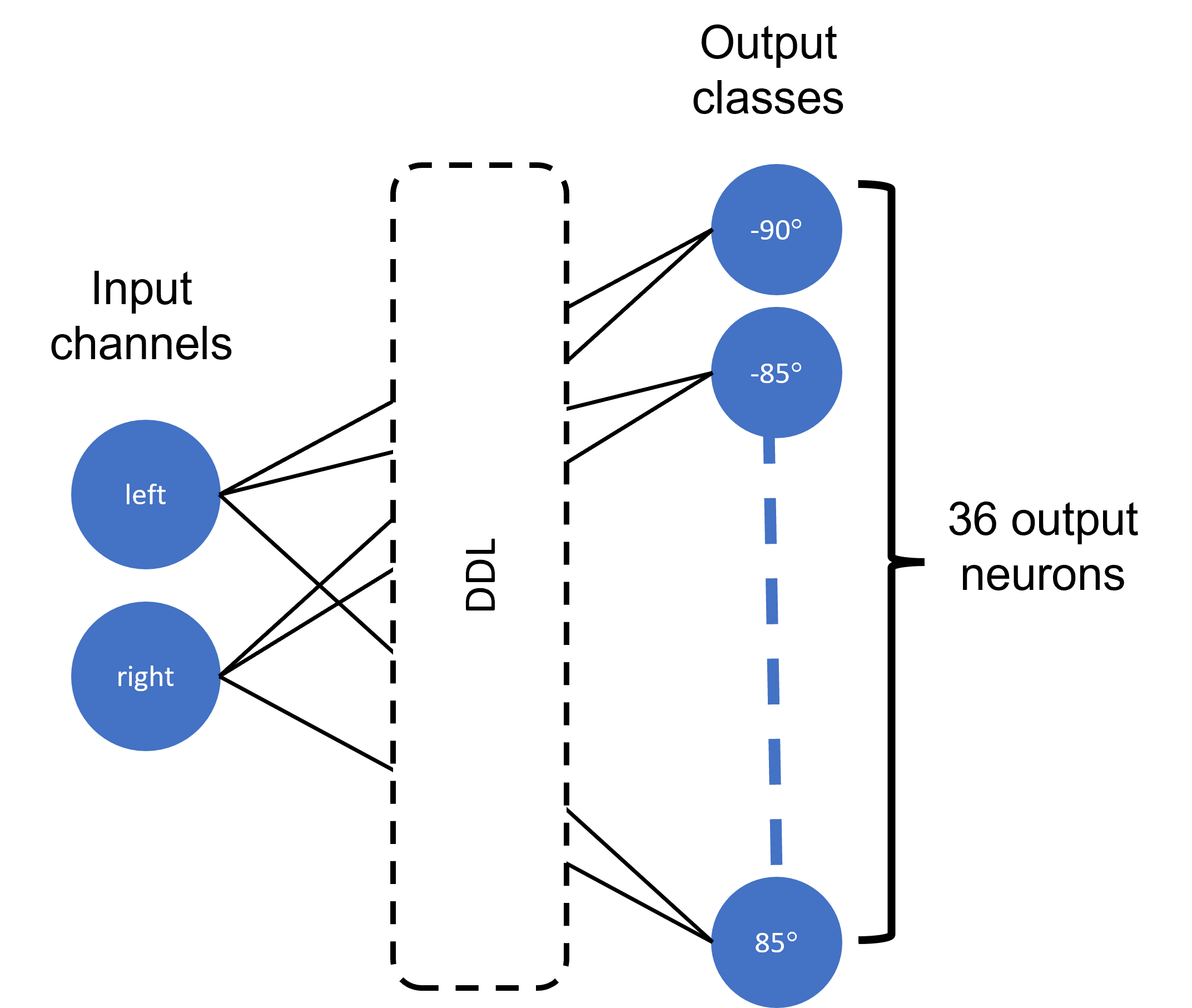 The model architecture. The DLL inserted between the input and out nodes is sufficient to solve the sound localization problem. The output nodes are IPD classes spanning the range {[-90^o,~85^o]~in~5^o} steps.