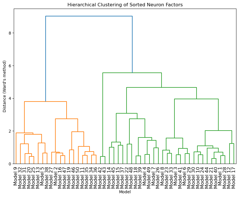 Hierarchical clustering of neuron factors across models.