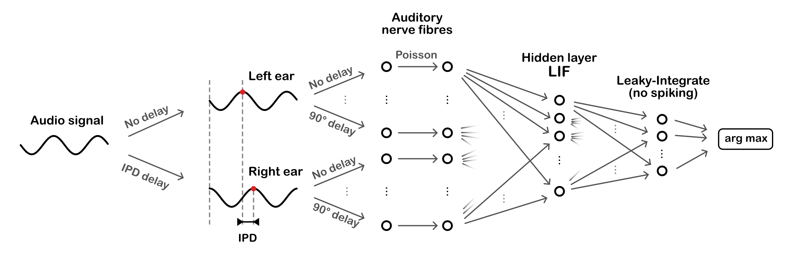 Overall model architecture. Sinusoidal audio signals are passed through two populations of units, with a range of preassigned phase delays, representing the left and right ears. These units generate Poisson spike trains which pass forward to a layer of leaky-integrate and fire (LIF) units, then a layer of leaky-integrator output units from which we readout the networks estimate of the interaural phase difference (IPD).